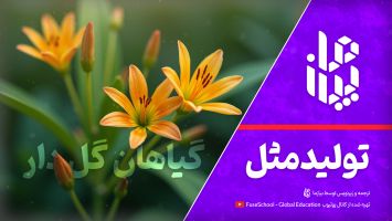 تولید مثل گیاهان گلدار