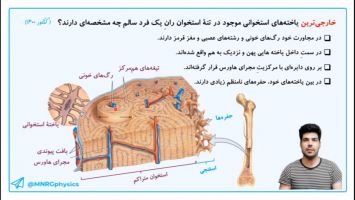 بافت استخوانی