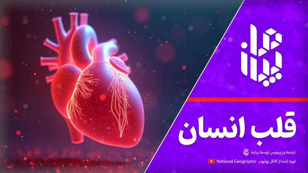 آشنایی با قلب انسان (موتور زندگی)